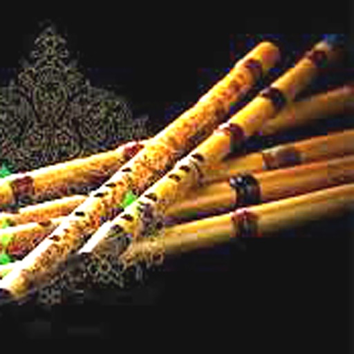 Persian Ney, Flute Instrument