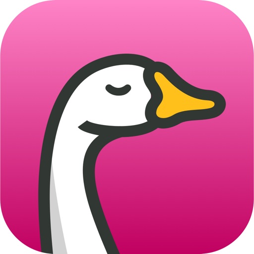 Goose Insurance iOS App