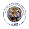 Tiger-apps