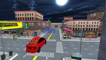 City Pizza Delivery Car Drive screenshot 2
