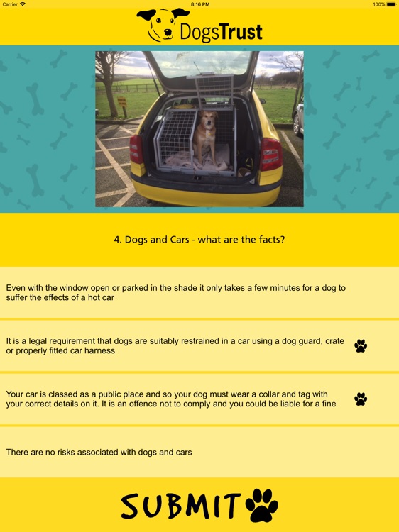 Dogs Trust Puppy Quiz