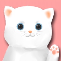 Contact Cat Toy: Games for Cats