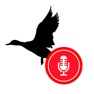 Get Bird Song: Record & Share for iOS, iPhone, iPad Aso Report
