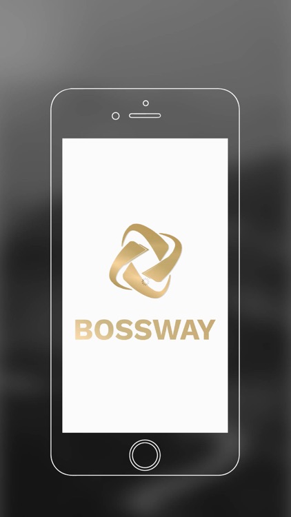 Bossway Driver screenshot-3