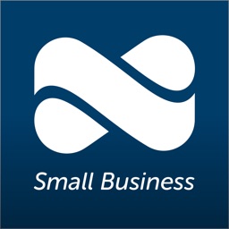 NetSpend Small Business