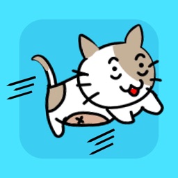 Chase The Cat -escape games