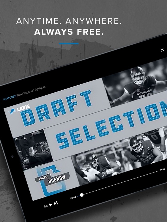 Lions DeskSite screenshot-4