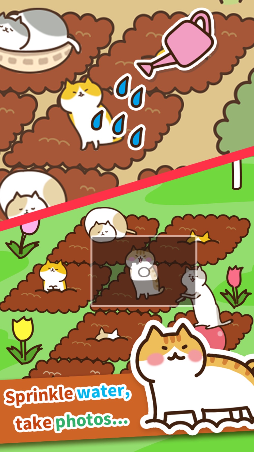 Field of Cats hack tool