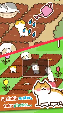 Game screenshot Field of Cats apk