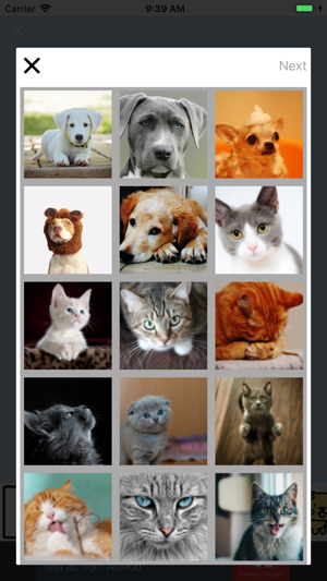 My awesome Pet Shots(圖3)-速報App