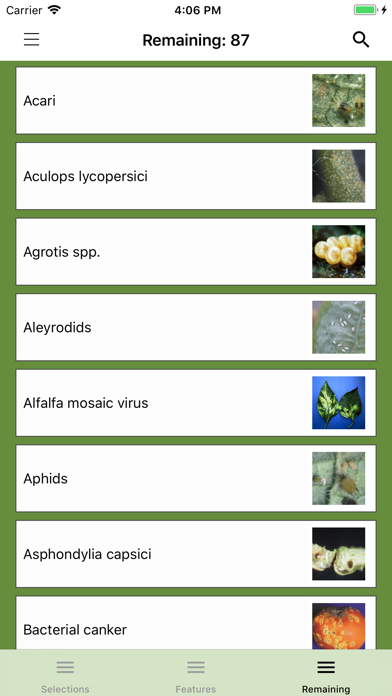 Solanaceae Fruit Field Guide screenshot 4