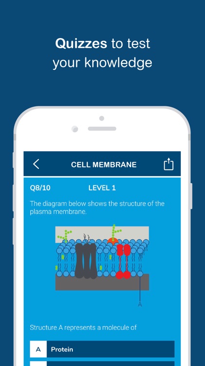 Biology - Biobrain screenshot-3