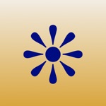 Oasis Focus, Relax, Meditate