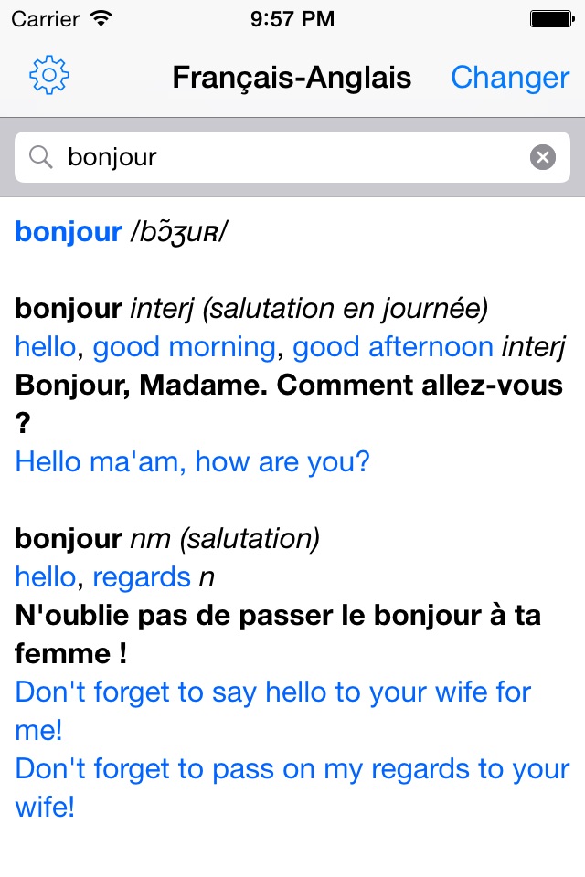 French – English Dictionary screenshot 2