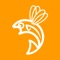 FlyLife is a high-quality journal featuring the best salt and freshwater fly fishing in Australia and New Zealand