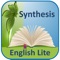 Icon Synthesis English Lite