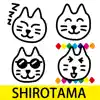 SHIROTAMA Cat 2 Sticker App Support