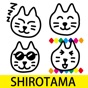 SHIROTAMA Cat 2 Sticker app download