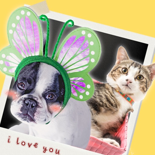 My awesome Pet Shots Download