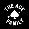 Austin Mcbroom - The ACE Family artwork