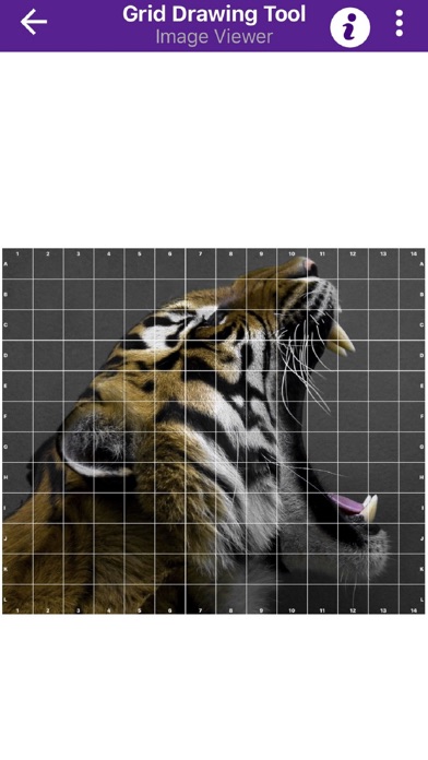 Grid Drawing Tool for Artists Screenshot 6
