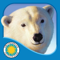 App Icon for Polar Bear Horizon App in Slovenia IOS App Store