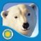 Icon Polar Bear Horizon