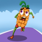 Corn Run