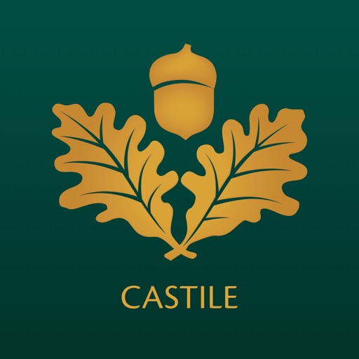 Bank of Castile Mobile by Tompkins Financial Corporation