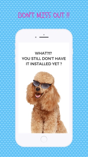 Poodle Fun Emoji Stickers(圖3)-速報App