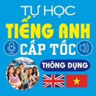 Top 33 Book Apps Like Tự học Tiếng Anh cấp tốc - Common Sentences - Best Alternatives