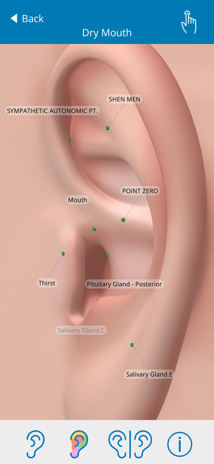 Auriculo 360 - The Living Ear