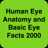 Human Eye Anatomy Fact,Quiz 2k - Raj Kumar