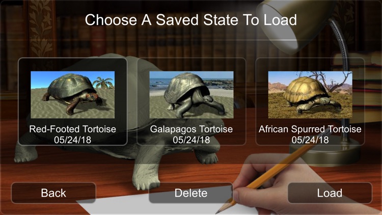 Tortoise Mannequin screenshot-9