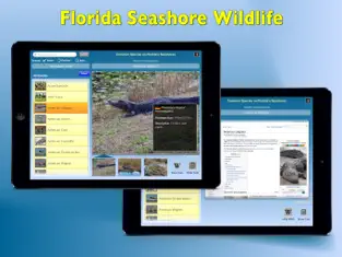 Screenshot 2 Florida Seashore Wildlife iphone