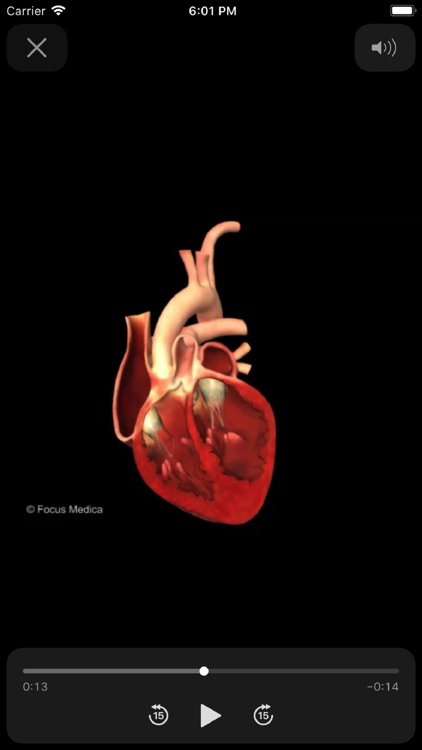 Cardiology Dictionary screenshot-3