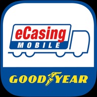 Goodyear eCasing