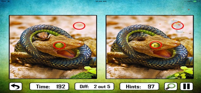 Animal Find The Difference(圖2)-速報App