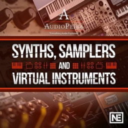 Synths and Samplers Terms