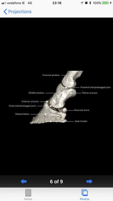 How to cancel & delete Equine Radiography from iphone & ipad 3