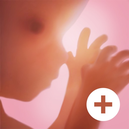 Pregnancy ++ iOS App