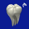 Dental Decide - iPhoneアプリ