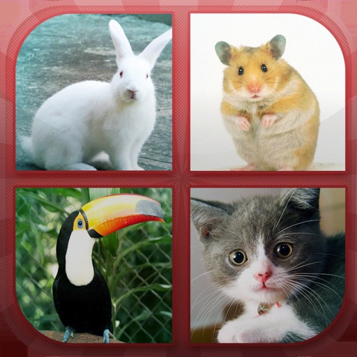 Animals Quiz - Guess Animals! iOS App