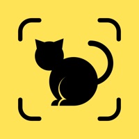 Cat Pal: Breed ID & Care Guide apk