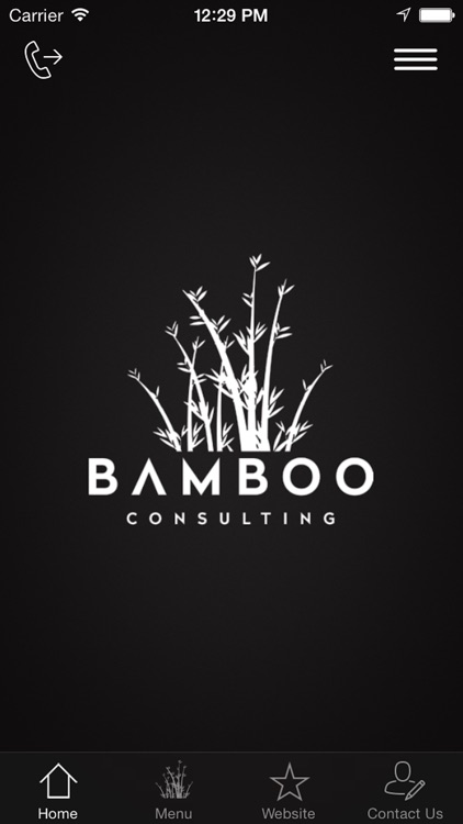 Bamboo Consulting