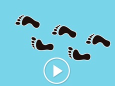 Activities of Animated Footprint Stickers
