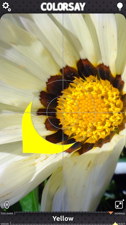 ColorSay screenshot-3