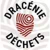 Dracénie Déchets