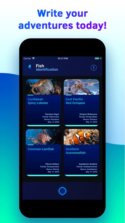 Fish Identifier