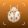 Insect ID - Bug Identifier